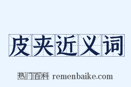 皮夹近义词是什么意思的图片